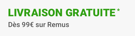 Livraison gratuite sur les échappements Remus dès 99€ *