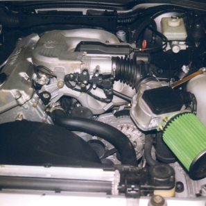 Green P244